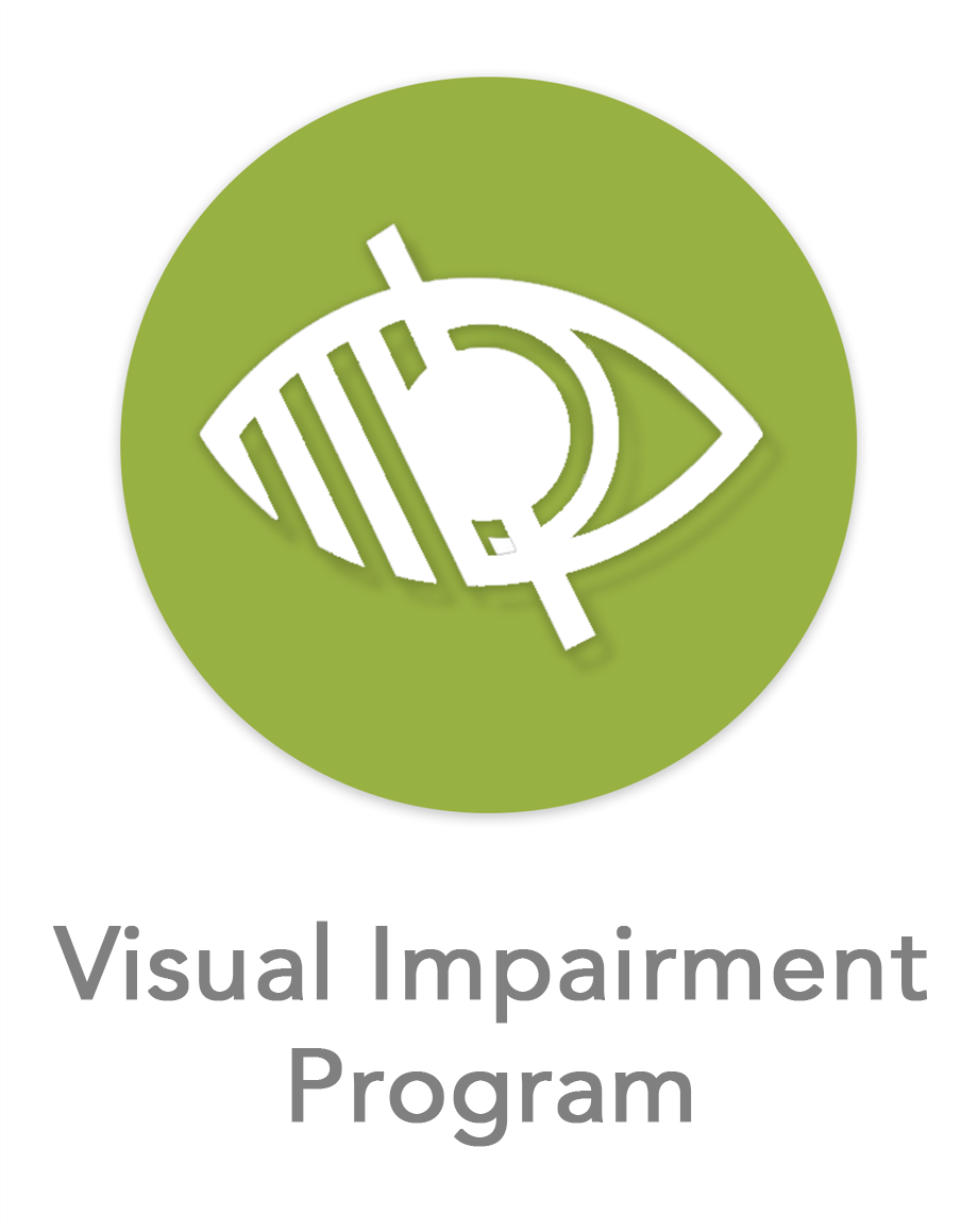Blind & Partially Sighted Icon